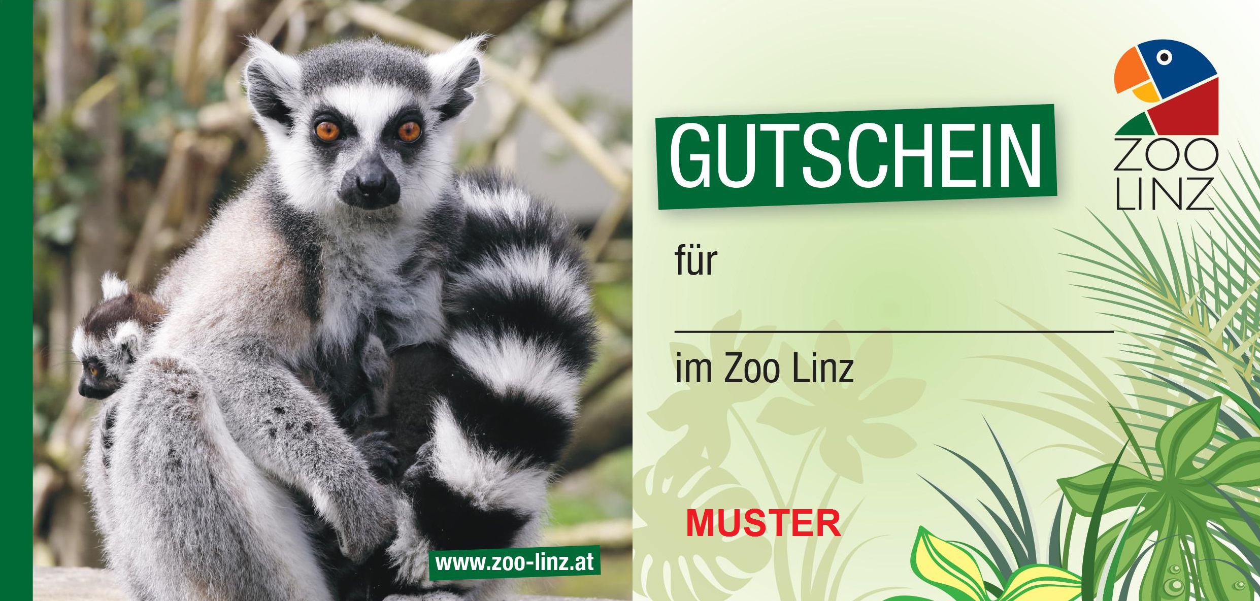 Muster-Gutschein Katta